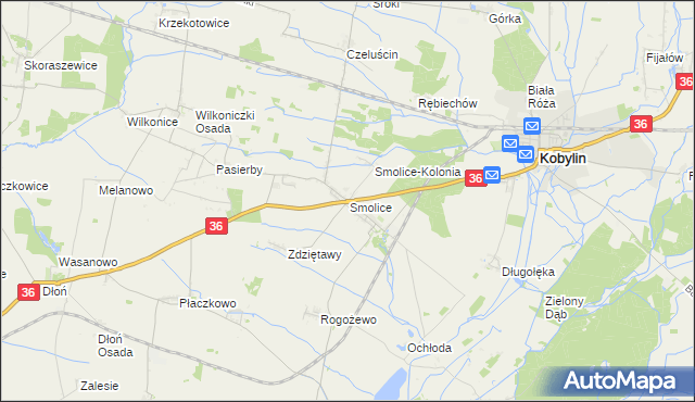 mapa Smolice gmina Kobylin, Smolice gmina Kobylin na mapie Targeo