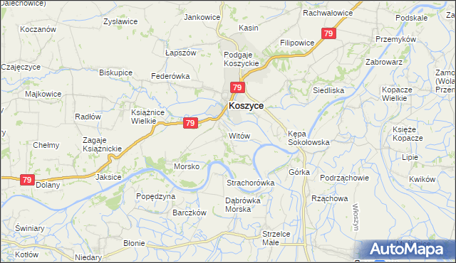 mapa Witów gmina Koszyce, Witów gmina Koszyce na mapie Targeo