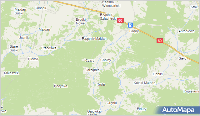 mapa Choiny gmina Wąsewo, Choiny gmina Wąsewo na mapie Targeo