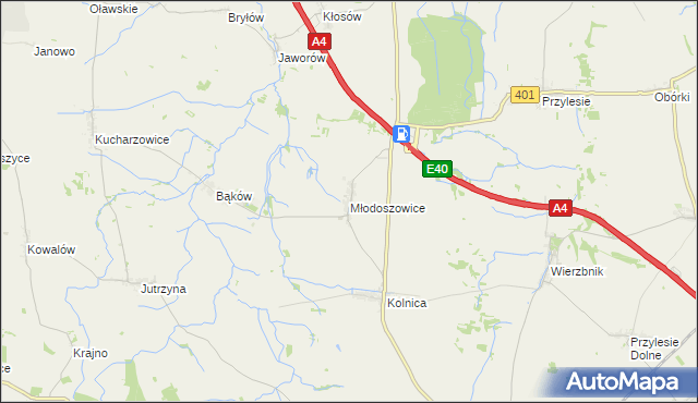 mapa Młodoszowice, Młodoszowice na mapie Targeo