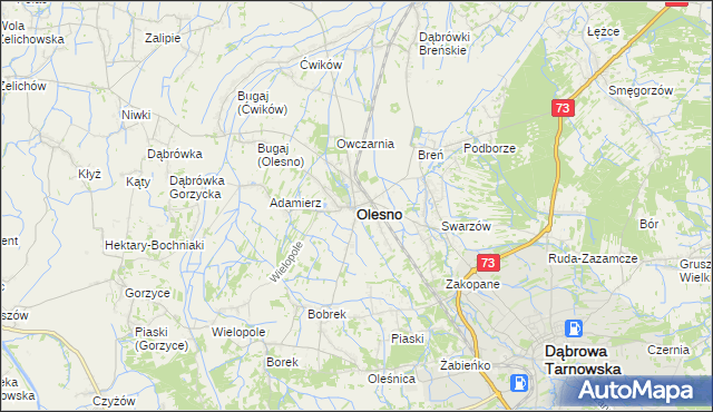 mapa Olesno powiat dąbrowski, Olesno powiat dąbrowski na mapie Targeo