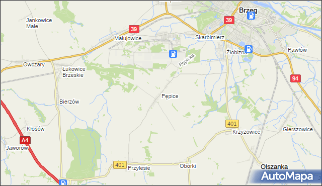 mapa Pępice gmina Skarbimierz, Pępice gmina Skarbimierz na mapie Targeo