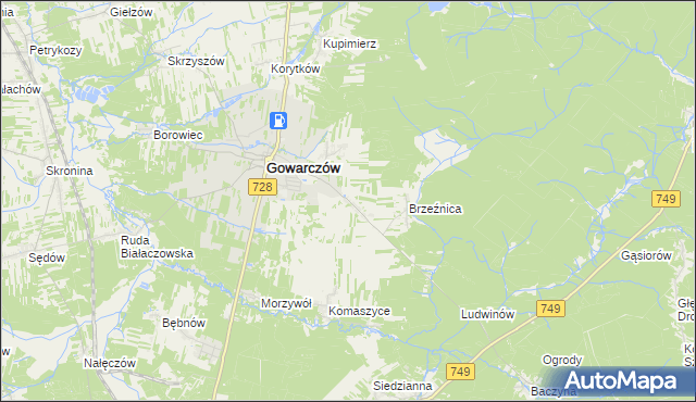 mapa Rogówek gmina Gowarczów, Rogówek gmina Gowarczów na mapie Targeo