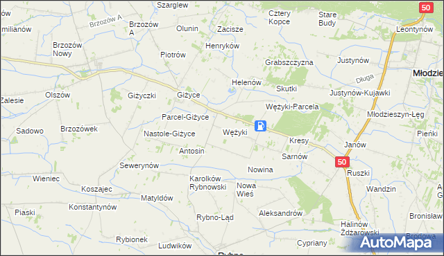 mapa Wężyki, Wężyki na mapie Targeo