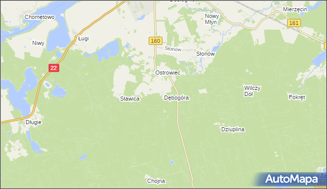 mapa Dębogóra gmina Dobiegniew, Dębogóra gmina Dobiegniew na mapie Targeo