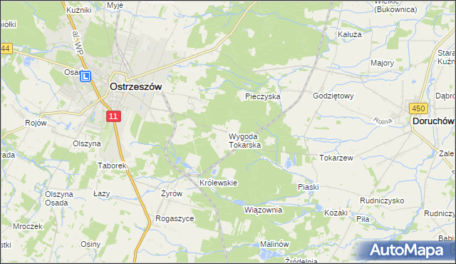 mapa Wygoda Tokarska, Wygoda Tokarska na mapie Targeo