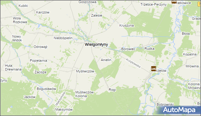 mapa Anielin gmina Wielgomłyny, Anielin gmina Wielgomłyny na mapie Targeo