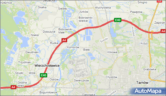 mapa Biała gmina Tarnów, Biała gmina Tarnów na mapie Targeo