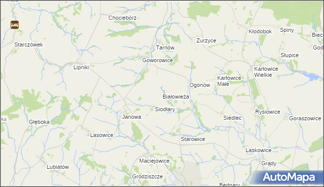 mapa Białowieża gmina Kamiennik, Białowieża gmina Kamiennik na mapie Targeo