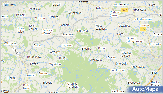 mapa Bieśnik gmina Łużna, Bieśnik gmina Łużna na mapie Targeo