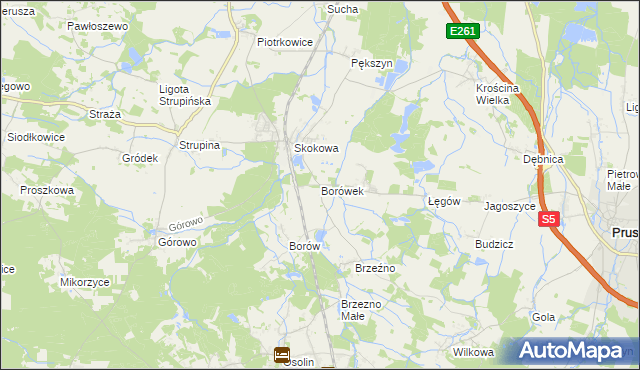 mapa Borówek gmina Prusice, Borówek gmina Prusice na mapie Targeo