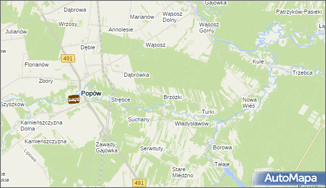 mapa Brzózki gmina Popów, Brzózki gmina Popów na mapie Targeo
