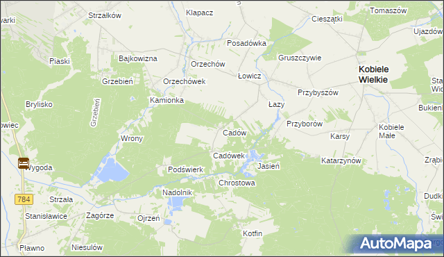 mapa Cadów, Cadów na mapie Targeo