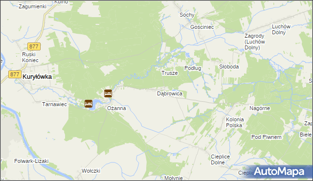 mapa Dąbrowica gmina Kuryłówka, Dąbrowica gmina Kuryłówka na mapie Targeo