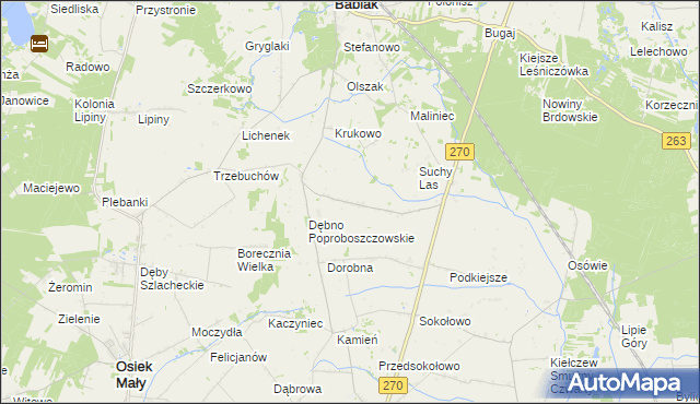mapa Dębno Królewskie, Dębno Królewskie na mapie Targeo