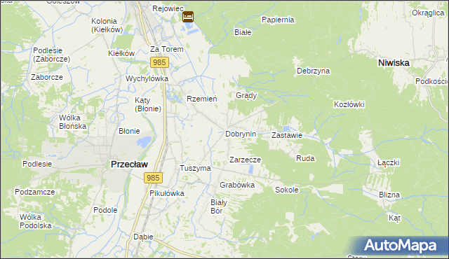 mapa Dobrynin, Dobrynin na mapie Targeo