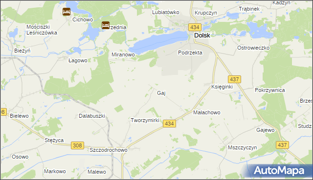 mapa Gaj gmina Gostyń, Gaj gmina Gostyń na mapie Targeo