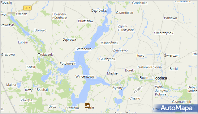 mapa Głuszynek, Głuszynek na mapie Targeo