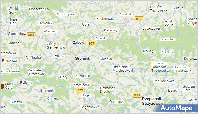 mapa Golanka gmina Gromnik, Golanka gmina Gromnik na mapie Targeo