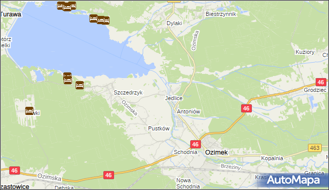 mapa Jedlice gmina Ozimek, Jedlice gmina Ozimek na mapie Targeo