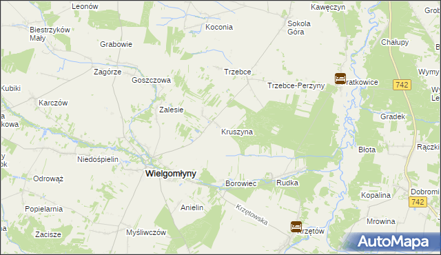 mapa Kruszyna gmina Wielgomłyny, Kruszyna gmina Wielgomłyny na mapie Targeo