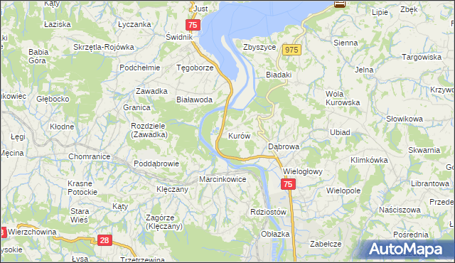 mapa Kurów gmina Chełmiec, Kurów gmina Chełmiec na mapie Targeo