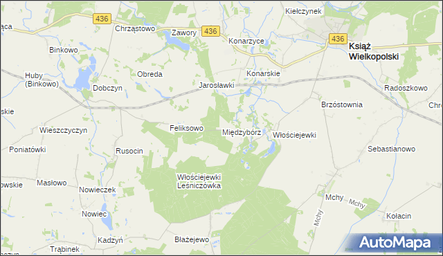 mapa Międzybórz gmina Książ Wielkopolski, Międzybórz gmina Książ Wielkopolski na mapie Targeo