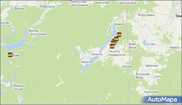 mapa Okoniny gmina Śliwice, Okoniny gmina Śliwice na mapie Targeo