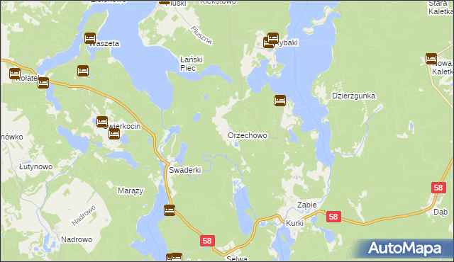 mapa Orzechowo gmina Olsztynek, Orzechowo gmina Olsztynek na mapie Targeo