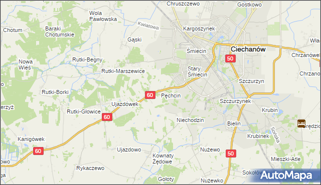 mapa Pęchcin, Pęchcin na mapie Targeo