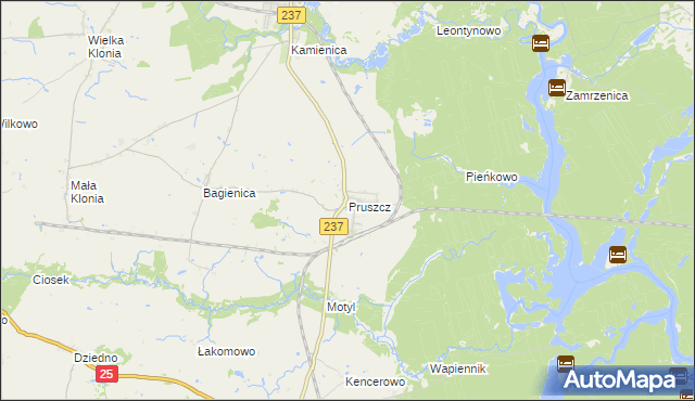 mapa Pruszcz gmina Gostycyn, Pruszcz gmina Gostycyn na mapie Targeo
