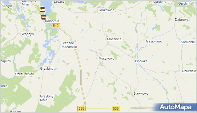 mapa Ruszkowo gmina Działdowo, Ruszkowo gmina Działdowo na mapie Targeo