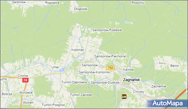 mapa Samsonów-Piechotne, Samsonów-Piechotne na mapie Targeo