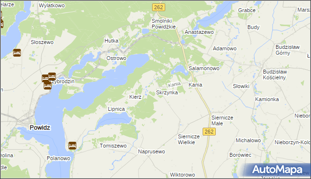 mapa Skrzynka gmina Ostrowite, Skrzynka gmina Ostrowite na mapie Targeo