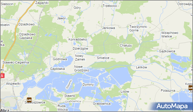 mapa Smielice, Smielice na mapie Targeo