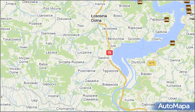 mapa Świdnik gmina Łososina Dolna, Świdnik gmina Łososina Dolna na mapie Targeo