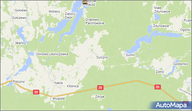 mapa Sylczno, Sylczno na mapie Targeo