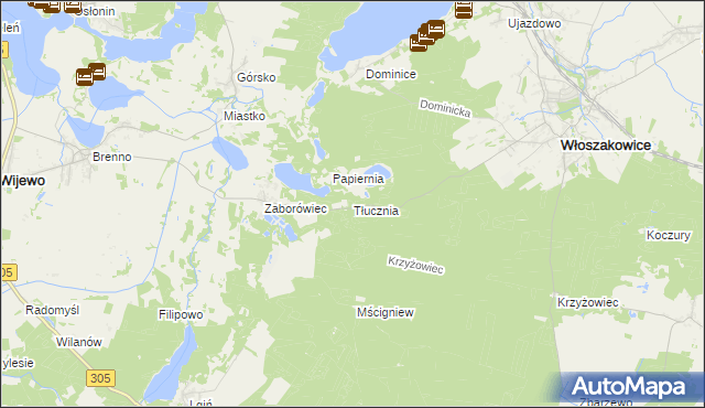 mapa Tłucznia, Tłucznia na mapie Targeo