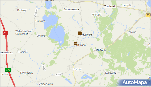 mapa Trzciano gmina Ryńsk, Trzciano gmina Ryńsk na mapie Targeo