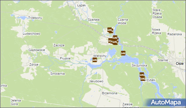 mapa Wierzchy gmina Osie, Wierzchy gmina Osie na mapie Targeo