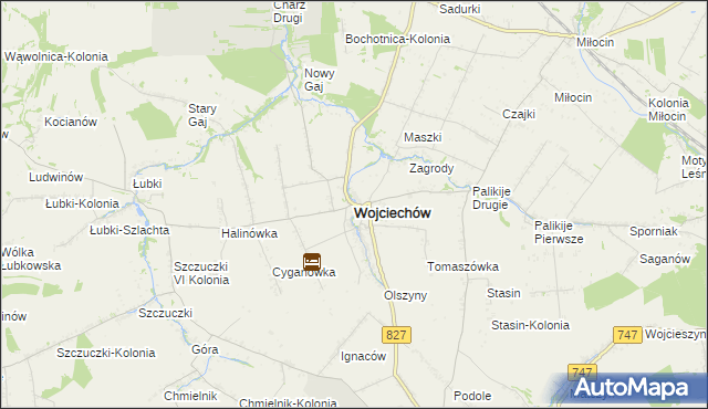 mapa Wojciechów powiat lubelski, Wojciechów powiat lubelski na mapie Targeo