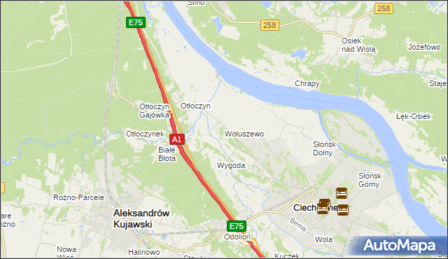 mapa Wołuszewo, Wołuszewo na mapie Targeo