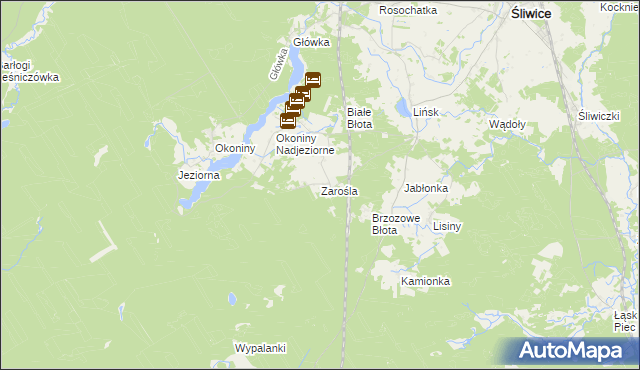 mapa Zarośla gmina Śliwice, Zarośla gmina Śliwice na mapie Targeo