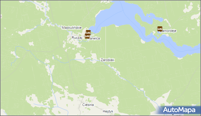 mapa Zaroślak, Zaroślak na mapie Targeo