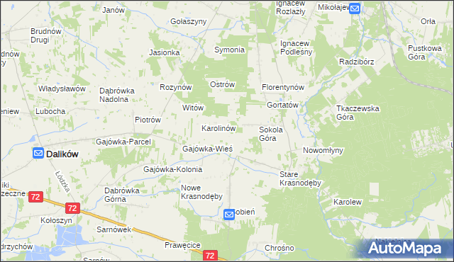 mapa Anastazew gmina Parzęczew, Anastazew gmina Parzęczew na mapie Targeo