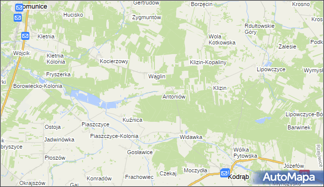 mapa Antoniów gmina Kodrąb, Antoniów gmina Kodrąb na mapie Targeo