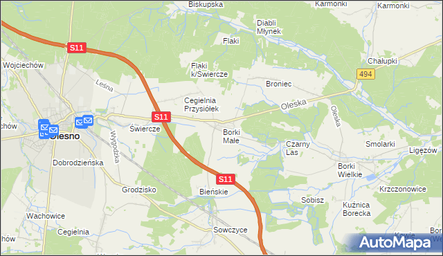 mapa Borki Małe gmina Olesno, Borki Małe gmina Olesno na mapie Targeo