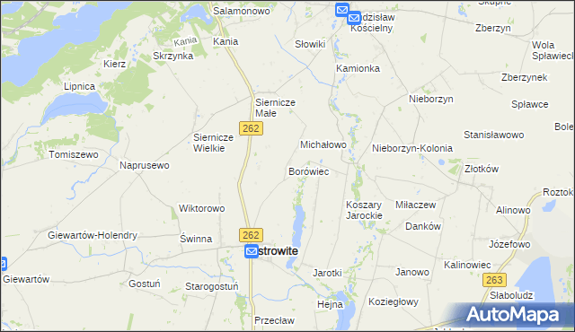 mapa Borówiec gmina Ostrowite, Borówiec gmina Ostrowite na mapie Targeo