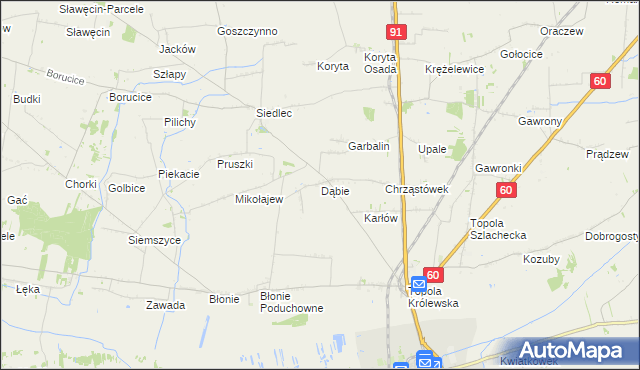 mapa Dąbie gmina Łęczyca, Dąbie gmina Łęczyca na mapie Targeo