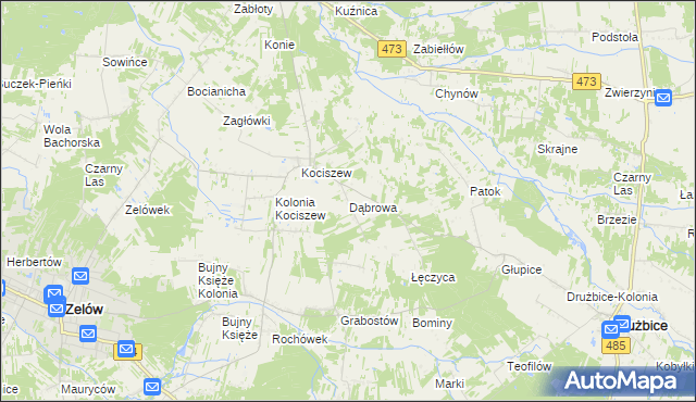 mapa Dąbrowa gmina Zelów, Dąbrowa gmina Zelów na mapie Targeo